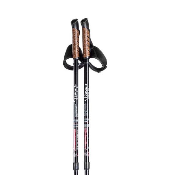 Kijki trekkingowe do nordic walking Timago