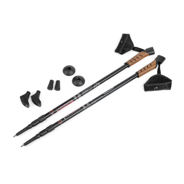 Kijki trekkingowe do nordic walking Timago